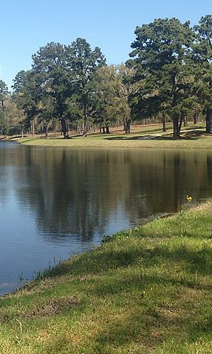 Homes and building lots for sale in the Tyler, Texas area Homes and building lots for sale in the Tyler, Texas area